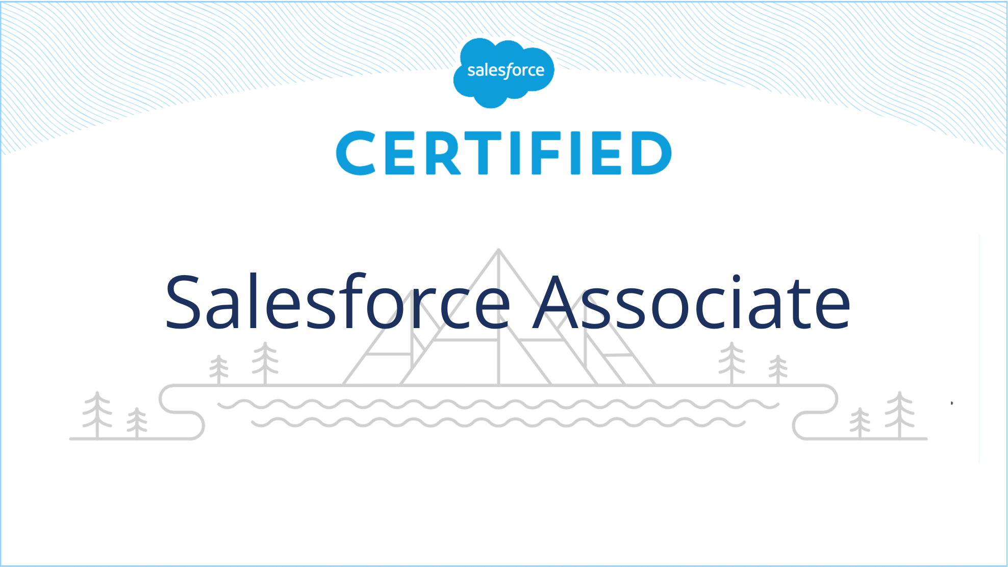 Salesforce Associate